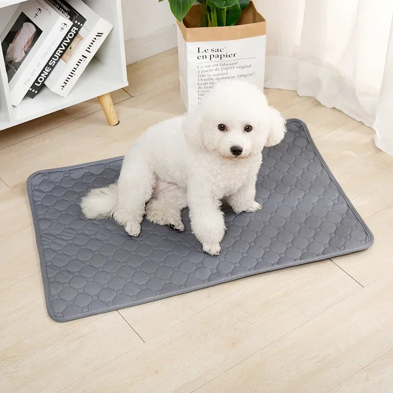 Tapis de protection imperméable, absorbant pour chiens et chats