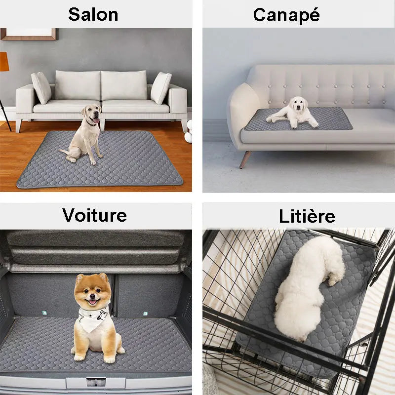 utilisation du tapis